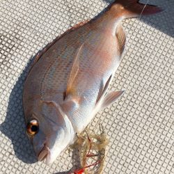 あみや渡船 JIGBOY 釣果