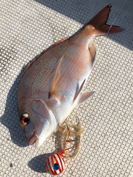 あみや渡船 JIGBOY 釣果