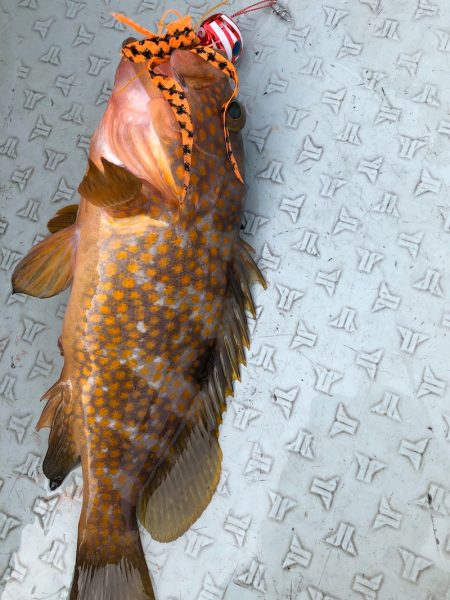 あみや渡船 JIGBOY 釣果