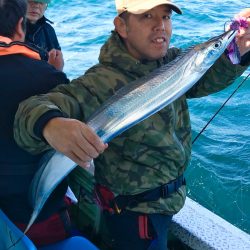 ヤザワ渡船 釣果