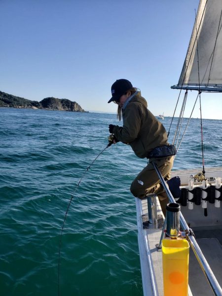 SeaRide(シーライド) 釣果