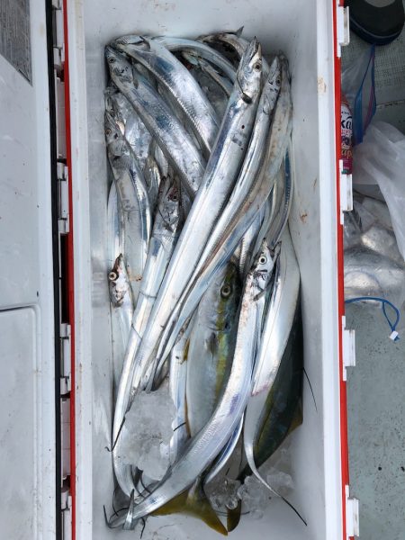 フィッシング キッタカ 釣果