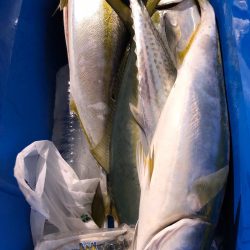 第二八坂丸 釣果