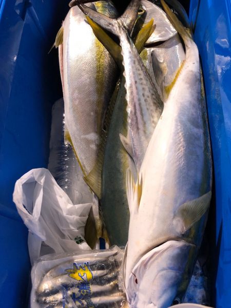 第二八坂丸 釣果