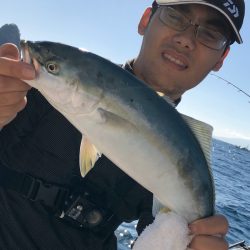 あみや渡船 JIGBOY 釣果