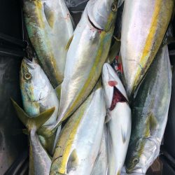 ヤザワ渡船 釣果