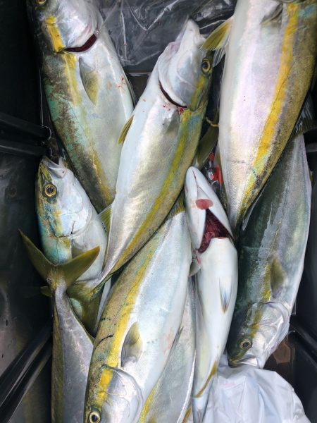 ヤザワ渡船 釣果