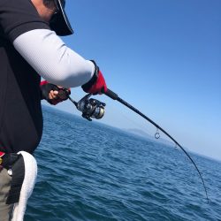 「LaGooN」蒼陽丸 日和号 釣果