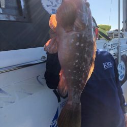 フィッシング キッタカ 釣果