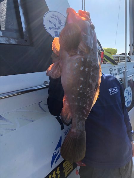 フィッシング キッタカ 釣果