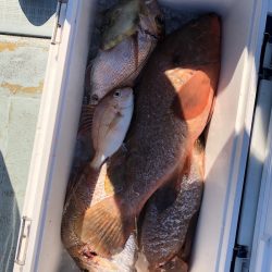 フィッシング キッタカ 釣果