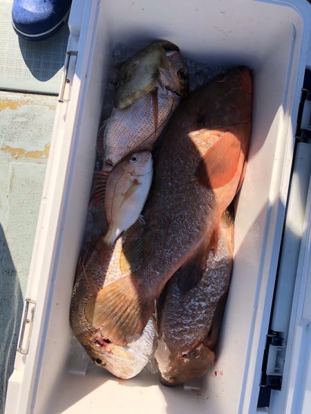 フィッシング キッタカ 釣果