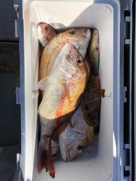 フィッシング キッタカ 釣果