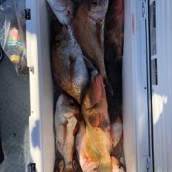 フィッシング キッタカ 釣果