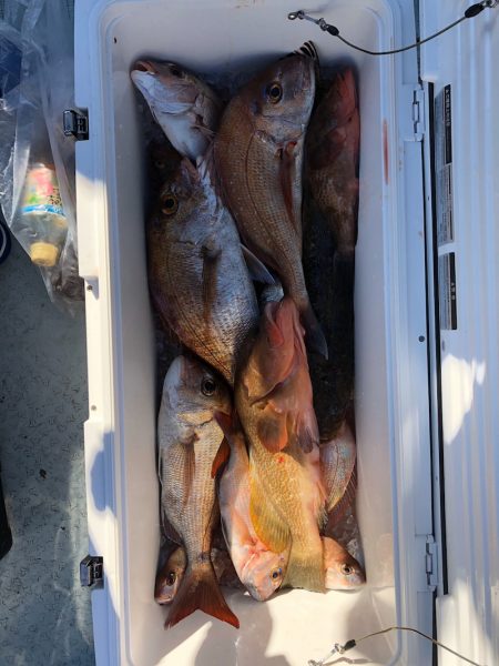 フィッシング キッタカ 釣果