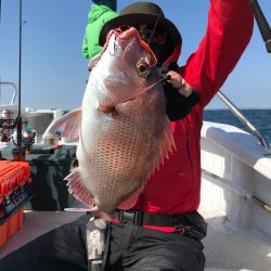 ランスルー 釣果