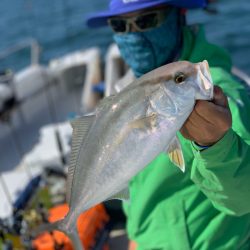 ランスルー 釣果