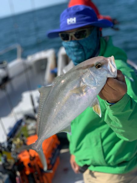 ランスルー 釣果