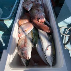 第二八坂丸 釣果