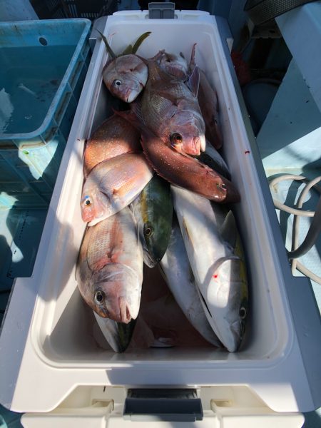 第二八坂丸 釣果