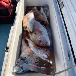 第二八坂丸 釣果