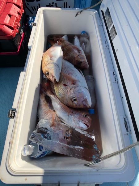 第二八坂丸 釣果