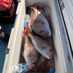 第二八坂丸 釣果