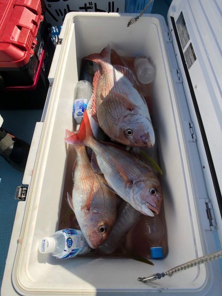 第二八坂丸 釣果