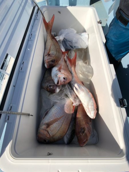 第二八坂丸 釣果