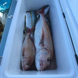 第二八坂丸 釣果