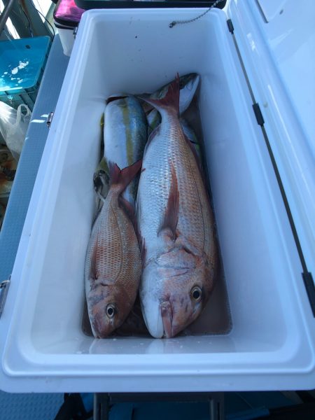 第二八坂丸 釣果