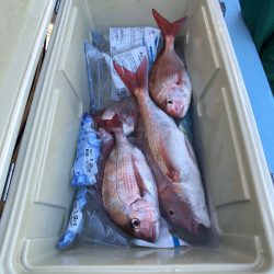 第二八坂丸 釣果