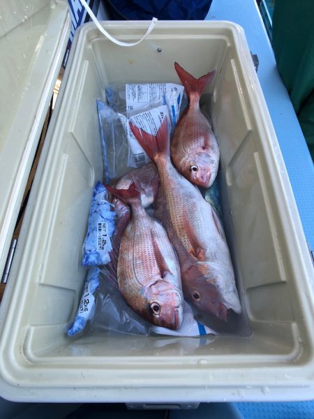 第二八坂丸 釣果