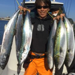 ビッグファイター 釣果