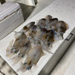 Monster Rush! 釣果