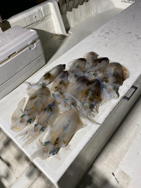 Monster Rush! 釣果