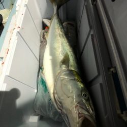 第二八坂丸 釣果