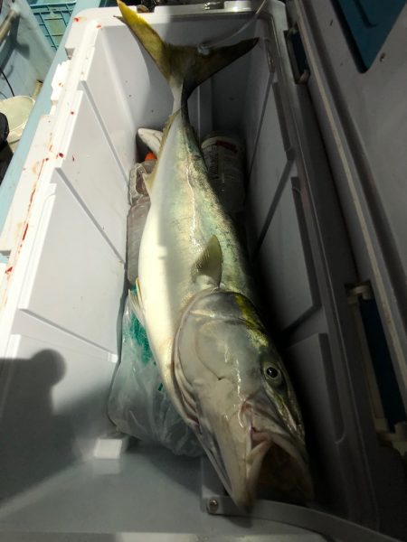 第二八坂丸 釣果