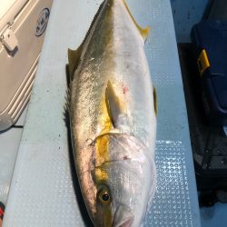 第二八坂丸 釣果