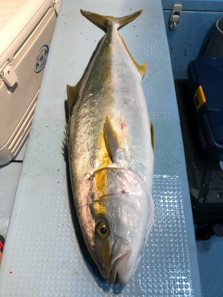 第二八坂丸 釣果