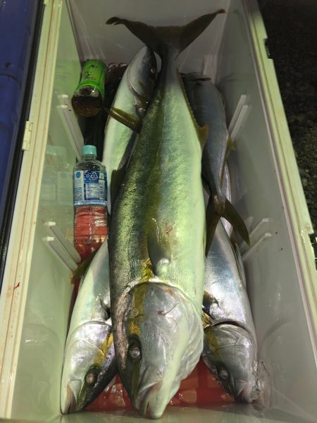 第二八坂丸 釣果