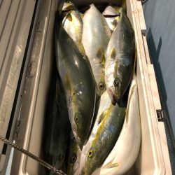 第二八坂丸 釣果