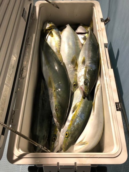 第二八坂丸 釣果