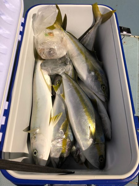 第二八坂丸 釣果