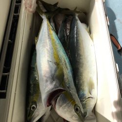 第二八坂丸 釣果