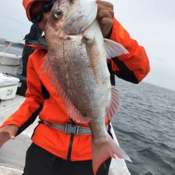 ランスルー 釣果