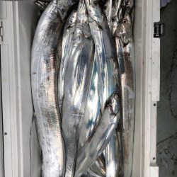 フィッシング キッタカ 釣果