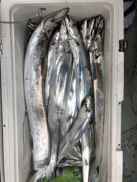 フィッシング キッタカ 釣果