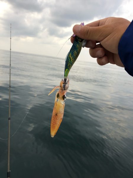 「LaGooN」蒼陽丸 日和号 釣果