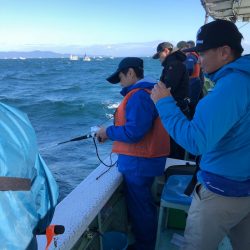 ヤザワ渡船 釣果